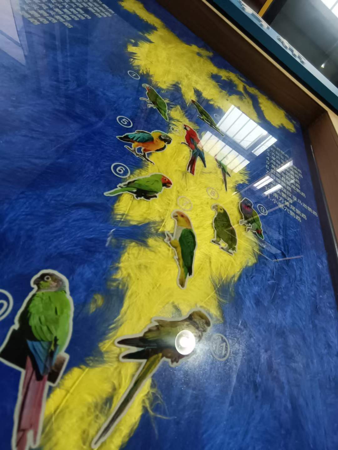 游艇会yth·(中国区)官方网站