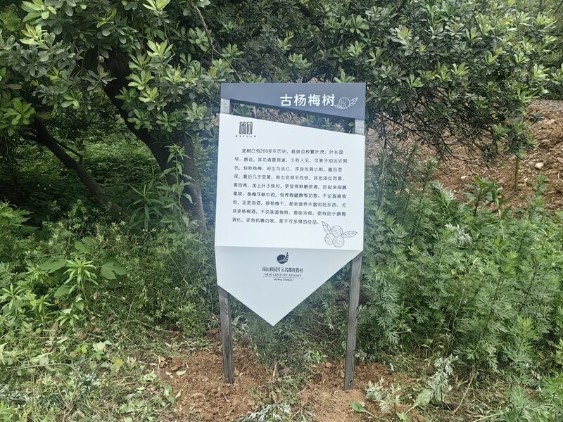 游艇会yth·(中国区)官方网站